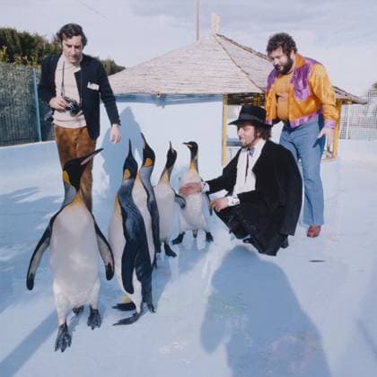 Archivbilder der Woche KW50 DANYEL GERARD Danyel Gerard, französischer Schlagersänger, Besuch im Berliner Zoo, 1971, Bild: Danyel Gerard und ein Fotograf im Gehege der Pinguine, Berlin Deutschland Copyright: HelmutxReiss REI_830003475 EDITORIAL USE ONLY