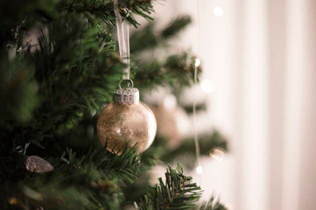 Close up of creme ornament hanging on christmas tree Napa, California, United States R_HOOX24120944-1596191-01 ,property released