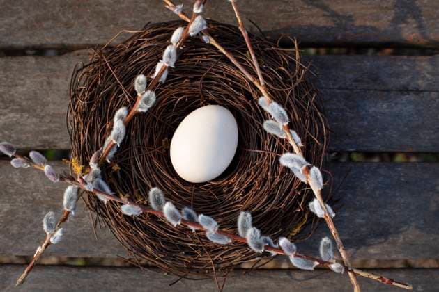 Season,Flower,Branch,White Background,Egg,Nest,Wood,Background,Willow Tree,Willow Leaves,Bench,Spring,Hatching,Easter,Easter Egg,No People,Nobody,No Person,Relaxing,Relaxed,Object,Still Life,Cooking,Food,Ingredient,Nature,Texture,Celebration,Close-Up,Close Up,Environment,Healing , 17.03.2021, tip2440008635  tip2440008635