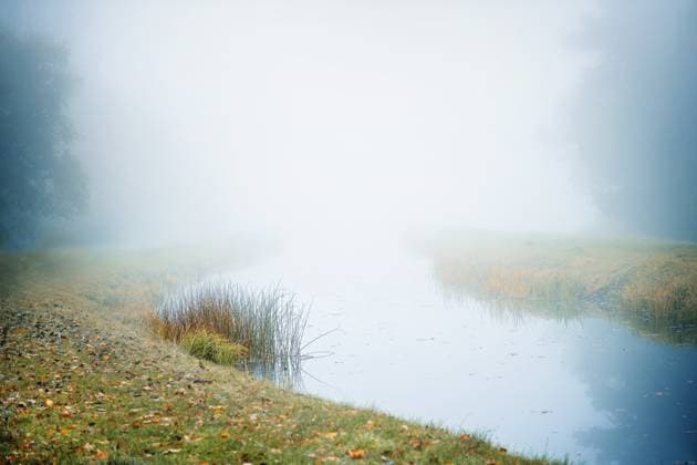 Flussufer mit Gras und Segge auf ruhigem Wasser im Nebel an einem Herbstmorgen, stimmungsvolle Landschaft in Norddeutschland, großflächige Kopie Flussufer mit Gras und Segge auf ruhigem Wasser im Nebel an einem Herbstmorgen, stimmungsvolle Landschaft in Norddeutschland, großflächige Kopie Copyright: xZoonar.com MarenxWinterx 22424276