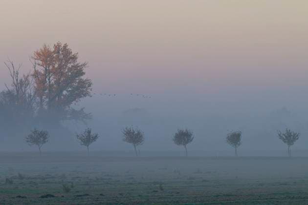 Ein Morgen im Herbst an der Elbe Ein Morgen im Herbst an der Elbe im Herbst. An Autumn Morning on the Elbe in autumn. Copyright: xZoonar.com KARINxJAEHNEx 22485564