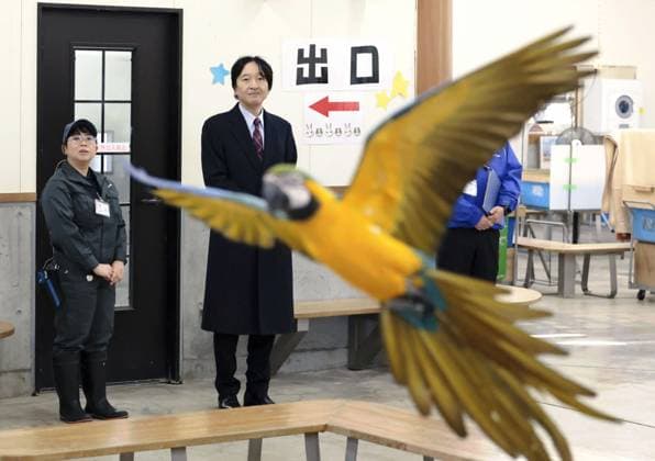 Entertainment Themen der Woche KW51 Bilder des Jahres 2024, Entertainment 12 Dezember Entertainment Bilder des Tages Crown prince visits central Japan zoo Japanese Crown Prince Fumihito (2nd from L) watches a blue-and-yellow macaw flying on a zoo staffer s instruction during a visit to Shizuoka Municipal Nihondaira Zoo in the central Japan city of Shizuoka on Dec. 19, 2024.  A14AA0003889986P