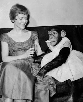 November 12, 1957, London, England, United Kingdom: LUCY the chimp wears her best Frock and smokes a cigarette at her premiere. Lovely JILL DIXON took the role as escort last night to LUCY the chimp nee when the latter attended a premiere the film Just Mr Luck in which she stars at the London Dominion Theater: (A Credit Image: ZUMA Press Wire) London United Kingdom - ZUMAk09_ 19571112_jtc_k09_796 Copyright: xKeystonexPressxAgencyx
