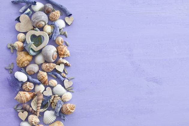 Hintergrund mit Muscheln  Copyright: xZoonar.com BarbaraxNeveux 4695740