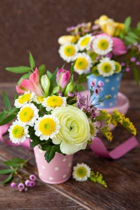 Frische Fruehlingsblumen in kleinen Bouquets, rustikaler Hintergrund  Copyright: xZoonar.com BarbaraxNeveux 16868686
