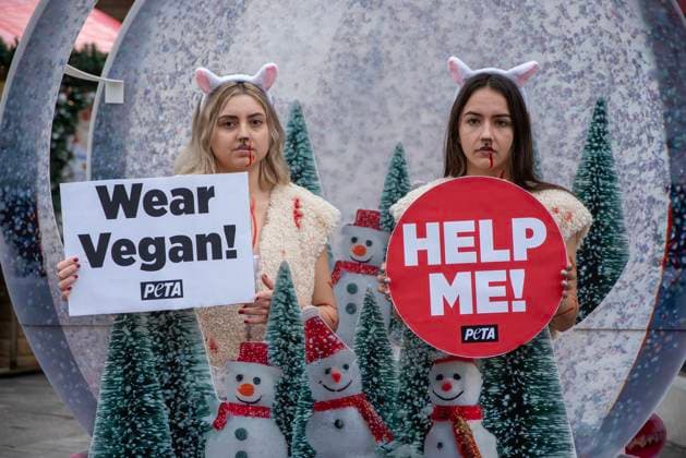 News Bilder der Woche KW51 News Bilder des Tages December 20, 2024, Canterbury, United Kingdom: Two activists dressed as sheep while holding placards stand in a snow globe at the Canterbury Christmas Market. PETA (People for the Ethical Treatment of Animals) activists and supporters gathered on the Canterbury Christmas Market to call on the shoppers to buy vegan fabric clothes instead of wool. The sheep are separated from their flock and causes them depression. The wool operations in England and Scotland found routine cruelty to sheep where they are beaten and kicked by the workers. Canterbury United Kingdom - ZUMAs197 20241220_aab_s197_010 Copyright: xKrisztianxElekx