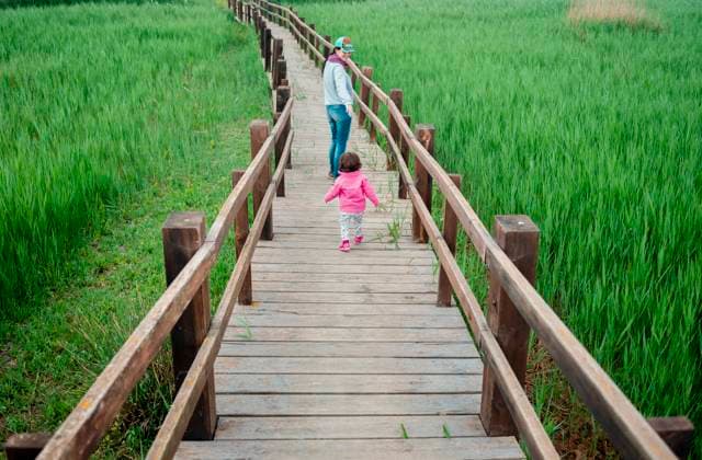 Creative Highlights Symbolbilder Mother and daughter walking along a wooden walkway between rice fields model released, Symbolfoto, GEMF02507