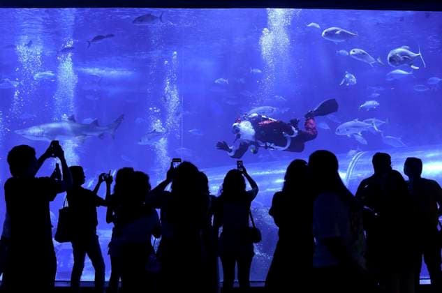 News Themen der Woche KW52 News Bilder des Tages December 23, 2024, Rio de Janeiro, Rio de Janeiro, Brazil: AquaRio s diving Santa Claus feeds sharks and entertains children, in the city of Rio de Janeiro, Brazil Rio de Janeiro Brazil - ZUMAc274 20241223_zip_c274_005 Copyright: xIngridxCristinax