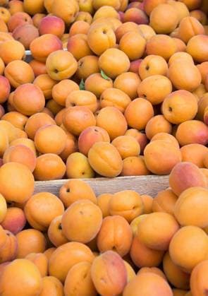 Apricots on sale as summer fruit ,model released, Symbolfoto  Copyright: xZoonar.com ElnurxAmikishiyevx 5841687 ,model released, Symbolfoto ,property released