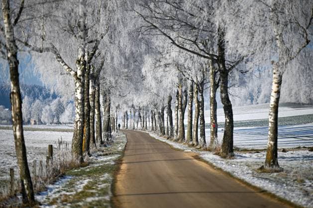News Themen der Woche KW52 News Bilder des Tages Wetter in Baden-Württemberg, Auf der Schwäbischen Alb haben leicht frostige Temperaturen und feuchte Luft für Raureifablagerungen an Schildern und Bäumen gesorgt. Die feuchten Tröpfchen aus dem Nebel trafen auf unterkühlte Gegenstände und bildeten die Raureifschicht. Bartholomä Baden-Württemberg Deutschland Bartholomä *** Weather in Baden Württemberg, On the Swabian Alb, slightly frosty temperatures and humid air have caused hoarfrost deposits on signs and trees The moist droplets from the fog hit supercooled objects and formed the layer of hoarfrost Bartholomä Baden Württemberg Germany Bartholomä Copyright: x xonw-imagesx xMariusxBullingx