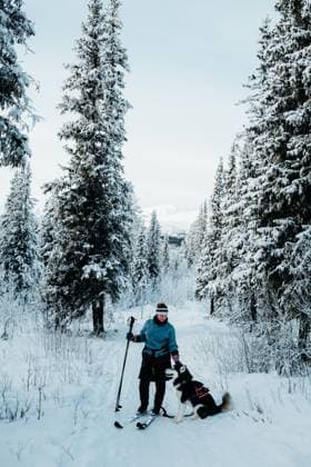 Creative Highlights Symbolbilder Cross-Country Skiing with Alaskan Malamute in Snowy Forest Sweden, Jamtland County, Åre CR_MGUJ241229A-1616890-01 ,model released, Symbolfoto