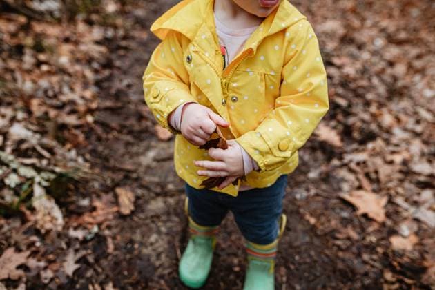 Creative Highlights Symbolbilder Toddler in rain gear on winter walk holding leaf Cape Girardeau, Missouri, United States R_WEKW241228B-1611040-01 ,model released, Symbolfoto