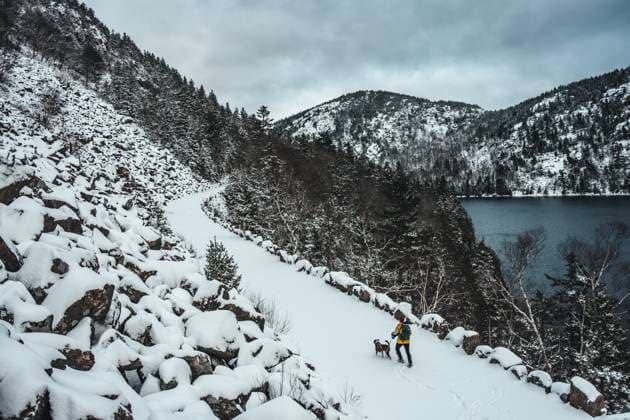 Creative Highlights Symbolbilder woman and dog walk along snowy carriage trail in Acadia Park, Maine Bar Harbor, Maine, United States CR_SSNF241230-1613977-01 ,model released, Symbolfoto