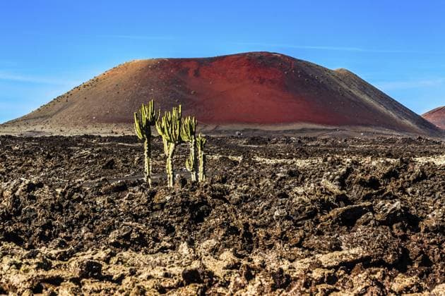 2016, Timanfaya, Lanzarote, ESP, Spanien, Kanaren, kanarische Inseln, Atlantik, Lanzarote, Biosphaerenreservat, Vulkan, Vulkanismus, Vulkaninsel, Insel, Aufnahmedatum, Europa 2016, Timanfaya, Lanzarote, ESP, Spain, Canary Islands, Canary Islands, Atlantic Ocean, Lanzarote, biosphere reserve, volcano, volcanism, volcanic island, island, recording date, Europe Copyright: imageBROKER RaimundxFranken iblrfn12047057.jpg