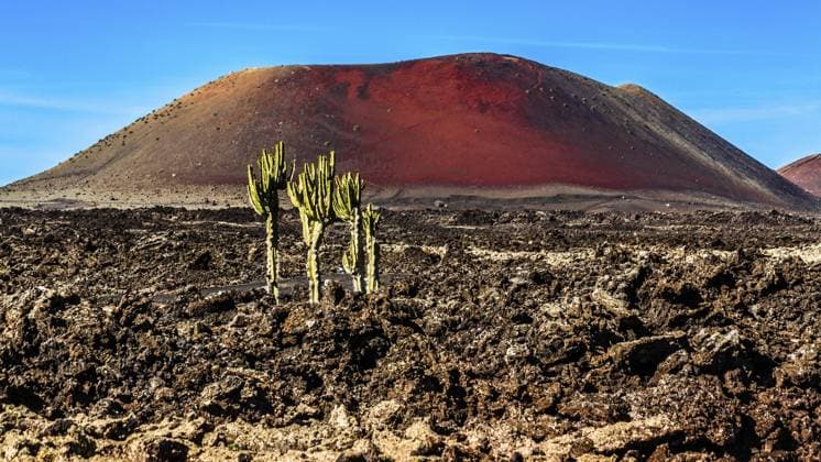 Creative Highlights World 2016, Timanfaya, Lanzarote, ESP, Spanien, Kanaren, kanarische Inseln, Atlantik, Lanzarote, Biosphaerenreservat, Vulkan, Vulkanismus, Vulkaninsel, Insel, Aufnahmedatum, Europa 2016, Timanfaya, Lanzarote, ESP, Spain, Canary Islands, Canary Islands, Atlantic Ocean, Lanzarote, biosphere reserve, volcano, volcanism, volcanic island, island, recording date, Europe Copyright: imageBROKER RaimundxFranken iblrfn12047056.jpg