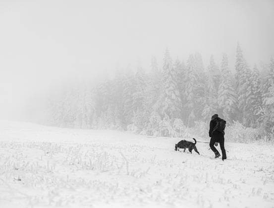 Creative Highlights Symbolbilder Woman walks her dog through foggy snowy icy winter scene Rangeley, Maine, United States CR_SSNF250102-1594780-01 ,model released, Symbolfoto
