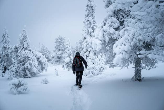 Creative Highlights Symbolbilder Man wearing winter gear hiking through a snow-covered forest Posio, Lapland, Finland CR_PJJZ250104-1618911-01 ,model released, Symbolfoto
