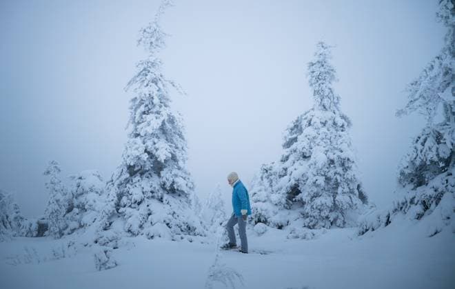 Creative Highlights Symbolbilder Woman walking in a snowy forest in national park of Finland Posio, Lapland, Finland CR_PJJZ250104-1618918-01 ,model released, Symbolfoto