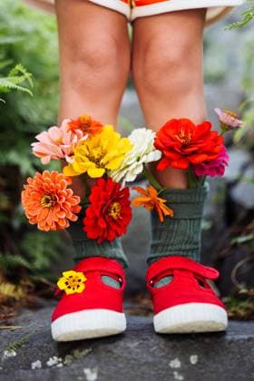 Creative Highlights Symbolbilder Zinnia flowers in red shoes and socks Marblehead, Massachusetts, United States R_NYHM250105B-1618906-01 ,model released, Symbolfoto