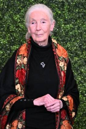 January 3, 2025, Washington, Dc, USA: 1 4 25 - The White House Wash. DC..During his last few weeks in office, President Joseph R Biden presents the 2025 Presidential Medal of Freedom to Jane Goodall for her research with chimpanzees. Washington USA - ZUMAb189 20250103_znp_b189_050 Copyright: xChristyxBowex