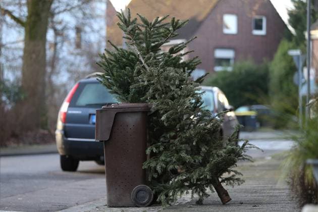 News Themen der Woche KW02 News Bilder des Tages Tannenbäume und Mülltonnen sind zur Abholung an den Straßenrand gestellt am 08. January 2025 in Krefeld, Deutschland. (Foto von Oliver Kaelke DeFodi Images) +++ Christmas trees and garbage cans are placed on the side of the road for collection on January 8, 2025 in Krefeld, Germany. (Photo by Oliver Kaelke DeFodi Images) Defodi-678_678_2025_01_08_STOCK_0020 *** Christmas trees and garbage cans are placed on the side of the road for collection on 08 January 2025 in Krefeld, Germany Photo by Oliver Kaelke DeFodi Images Christmas trees and garbage cans are placed on the side of the road for collection on January 8, 2025 in Krefeld, Germany Photo by Oliver Kaelke DeFodi Images Defodi 678 678 2025 01 08 STOCK 0020 Defodi-678