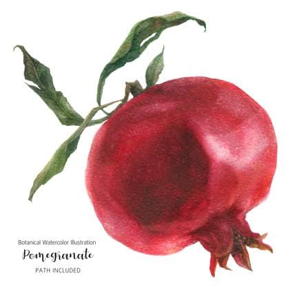 Big fresh red pomegranate fruit, watercolor illustration with clipping path , 47166698.jpg, pomegranate, watercolor, food, sweet, fruit, juicy, red, bordo, vegan, healthy, flora, nature, botanical, botany, autumn, fall, granate, vine, watercolour, art, hand drawn, isolated, white background, vegetarian, pink, burgundy, fresh, realism RECORD DATE NOT STATED