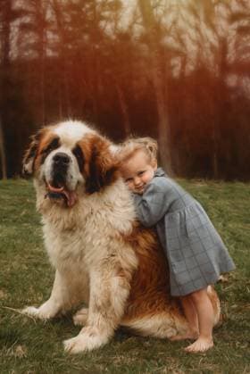 Creative Highlights Symbolbilder toddler little girl hugging her dog a Saint Bernard Beaver, West Virginia, United States CR_ZVBJ250112B-1626832-01 ,model released, Symbolfoto