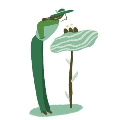 A minimalist illustration of a figure with a hat interacting with a large, abstract green flower The simple color palette emphasizes harmony and nature, creating a serene atmosphere Model Released BrendaFebus_ID25930_748594_013 Copyright: xBrendaxFebusx RECORD DATE NOT STATED