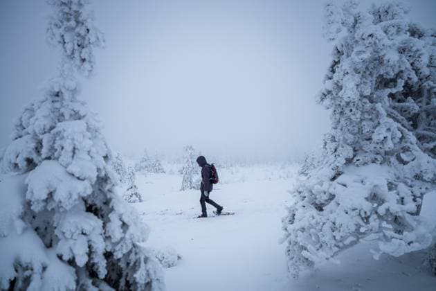 Creative Highlights Symbolbilder man in snowshoes walks through the national park of Finland Posio, Lapland, Finland CR_PJJZ250113-1625731-01 ,model released, Symbolfoto