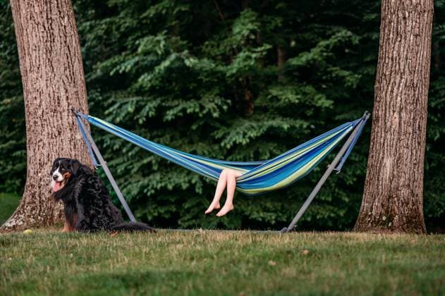 Creative Highlights Symbolbilder Bare feet of a child in a hammock next to a Bernese dog in the woods. Epping, New Hampshire, United States CR_MJOR250113C0-1627910-01 ,model released, Symbolfoto