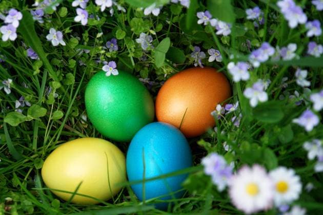 easter colorful Easter egg in the meadow Copyright: xZoonar.com rgbx 848461