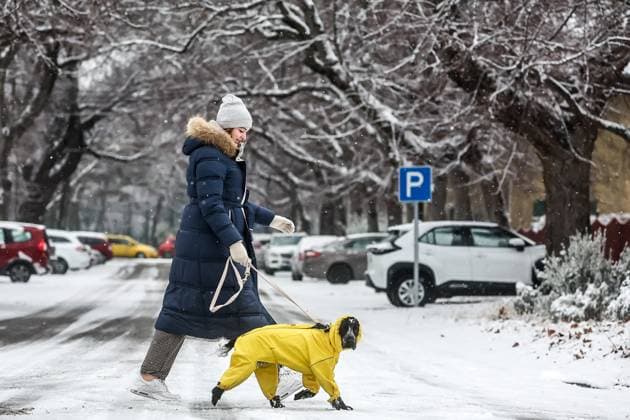 News Themen der Woche KW03 News Bilder des Tages (250116) -- BUDAPEST, Jan. 16, 2025 -- A woman walks her dog in the snow in Budapest, Hungary, Jan. 15, 2025. (Photo by Xinhua) HUNGARY-BUDAPEST-SNOW-DAILY LIFE AttilaxVolgyi 