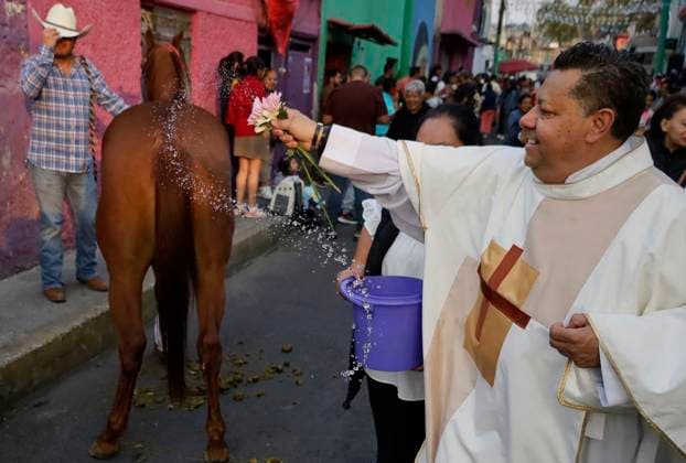 Mexico City Residents Bless Their Pets On The Occasion Of Saint Anthony The Abbot s Day A priest outside a parish blesses the pets of residents of the southern end of Mexico City, Mexico, on January 17, 2025, on the occasion of Saint Anthony the Abbot s Day, the patron saint of animals. Mexico City Mexico  Copyright: xGerardoxVieyrax originalFilename: vieyra-notitle250117_npHu7.jpg