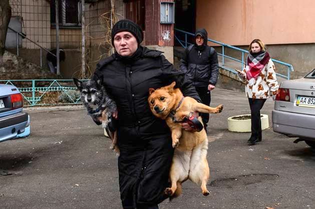 News Themen der Woche KW03 News Bilder des Tages Aftermath Of Russian Missile Strike In Central Kyiv A local resident carries dogs near the site of a Russian missile strike in central Kyiv, Ukraine, on January 18, 2025, early in the morning. Kyiv Ukraine  Copyright: xMaxymxMarusenkox originalFilename: musiienko-notitle250118_npIzY.jpg