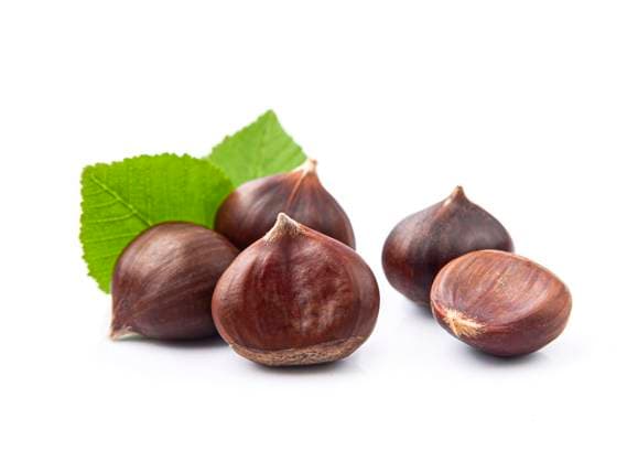 Reife Kastanien mit Blättern Ripe chestnuts with leaves on a white background Copyright: xZoonar.com MariiaxVoloshinax 22628104