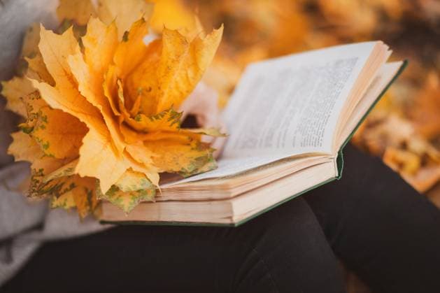 Close-up on book and yellow bouquet of autumn leaves. , 48274588.jpg, woman, book, autumn, park, education, person, nature, face, sun, leaf, female, outdoor, young, lifestyle, cute, portrait, attractive, fall, leisure, casual, hair, reading, read, self-development RECORD DATE NOT STATED