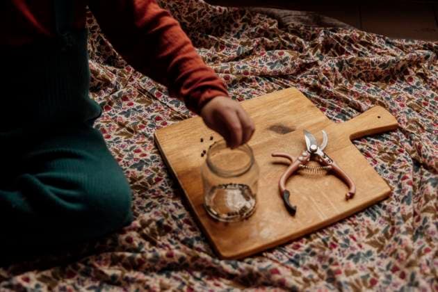 Hand arranging seeds on a wooden board with jar and garden shears Amsterdam, North Holland, Netherlands R_RTBZ250117-1634292-01