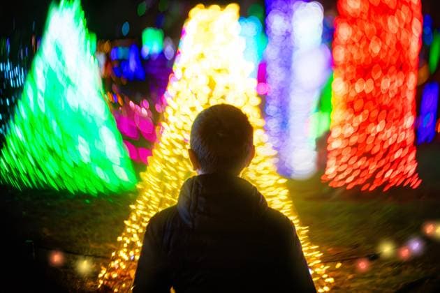 Boy looking at colorful Christmas lights at night Tulsa, Oklahoma, United States R_KRRY250117-1630467-01 ,model released, Symbolfoto