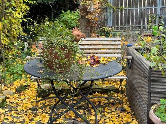 Herbst im Landhaus-Hof *** Autumn at Country house Farm 1088818933