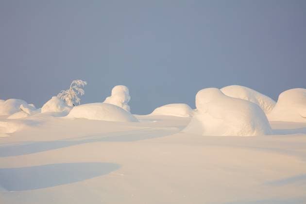 Creative Highlights World Minimalistische verschneite Nordlandschaft Finnish Lapland. Minimalist snowy landscape in the rays of winter sun. Several huge snowdrifts and a lonely northern tree Copyright: xZoonar.com MikexPavlovx 22645195