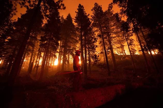 Bilder des Jahres 2025, News 01 Januar News Themen der Woche KW04 News Bilder des Tages January 21, 2025, Meyers, California, USA: DUSTIN JOHNSTON of the U.S. Forest Service Lake Tahoe Basin unit watches the Caldor fire advance toward buildings near Meyers, California. Meyers United States - ZUMAm67_ 20250121_zaf_m67_015 Copyright: xPaulxKitagakixJrx