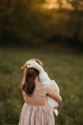 girl in field holding a goose Beaver, West Virginia, United States CR_ZVBJ250121-1628494-01 ,model released, Symbolfoto
