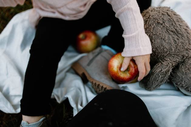 Toddler hands holding apples and a stuffed animal Raleigh, North Carolina, United States R_XMBF250121A-1631390-01 ,model released, Symbolfoto
