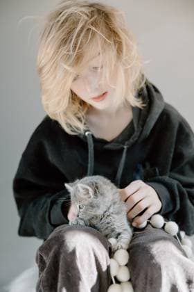 Young boy holding gray kitten Boise, Idaho, United States R_PHZD250121-1627990-01 ,model released, Symbolfoto