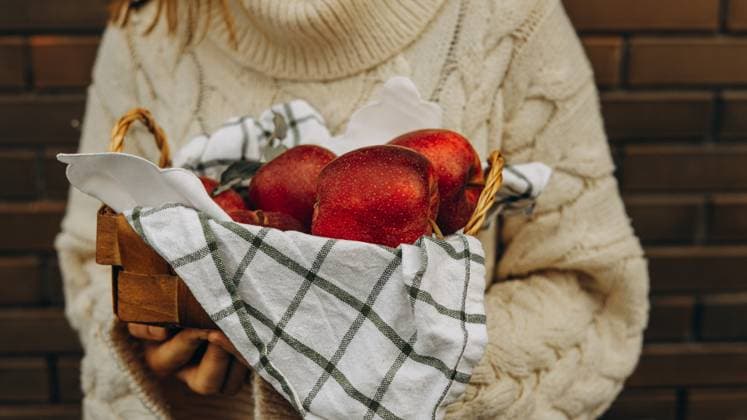 Cropped unrecognizable person in cream chunky knit holding a wicker basket filled with shiny red apples, partly covered with a checkered cloth. Model Released Ptashkimenko_ID26189_755650_003 Copyright: xx