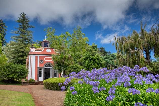Agapanthus, Schmucklilie, Afrikanische Lilie (Agapanthus-Hybride) (Agapanthus spec.), Palheiro Gardens, Kapelle und bluehende Schmucklilien im Park, Madeira, Funchal African lily (Agapanthus spec.), Palheiro Gardens, Chapel and blooming ornamental lilies in the park, Madeira, Funchal BLWS720219 *** Agapanthus, Jewelry lily, African Lily Agapanthus Hybrids Agapanthus Spec , Palheiro Gardens, Chapel and blooming Jewelry lilies at Park, Madeira, Funchal African Lily Agapanthus Spec , Palheiro Gardens, Chapel and blooming ornamental lilies in The park, Madeira, Funchal BLWS720219 Copyright: xblickwinkel M.xWoikex