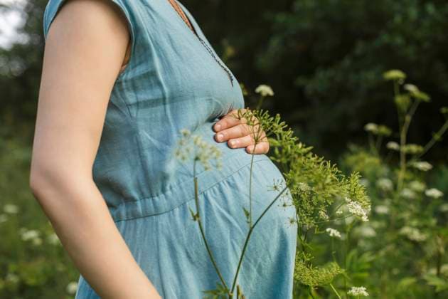 Woman with pregnant belly at field model released, Symbolfoto, LLUF01157