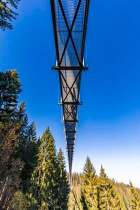 View of the WildLine suspension bridge in Bad Wildbad, Black Forest, Germany, WDF07754