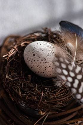 A detailed view of an Easter egg delicately spotted and nestled in a rustic nest, surrounded by natural fibers and feathers, evoking a warm, holiday ambiance. Model Released AnnaBogush_ID26004_750157_002 Copyright: xAnnaxBogushx RECORD DATE NOT STATED