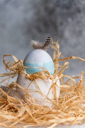 An Easter egg delicately decorated with a blue hue and adorned with natural feathers, nestled in a rustic straw nest, portraying a traditional Easter setting with a touch of elegance. Model Released AnnaBogush_ID26004_750169_010 Copyright: xAnnaxBogushx RECORD DATE NOT STATED